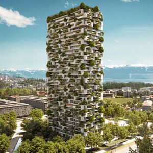 Les constructions végétalisées, plus durables ?