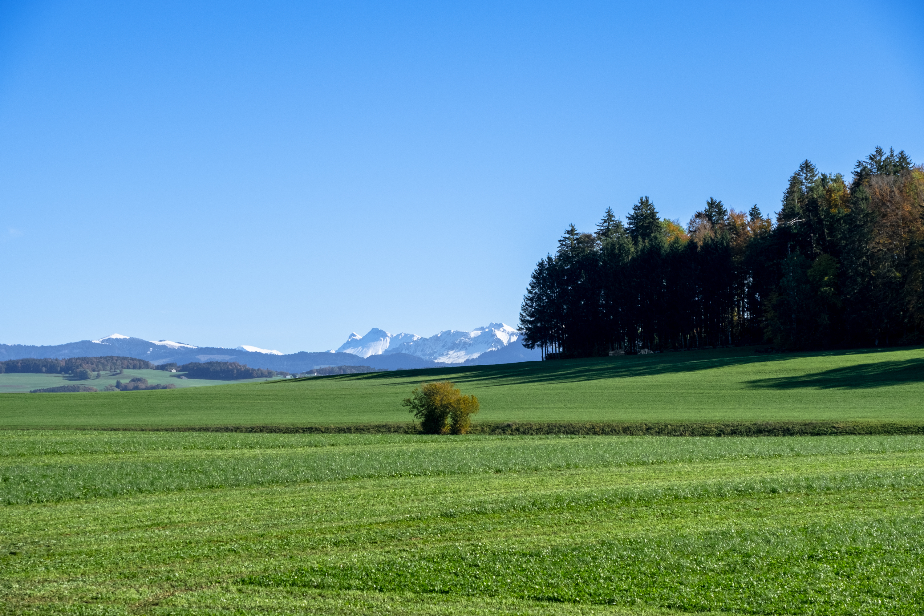 Projet d'appartements neuf à vendre : le village de Siviriez