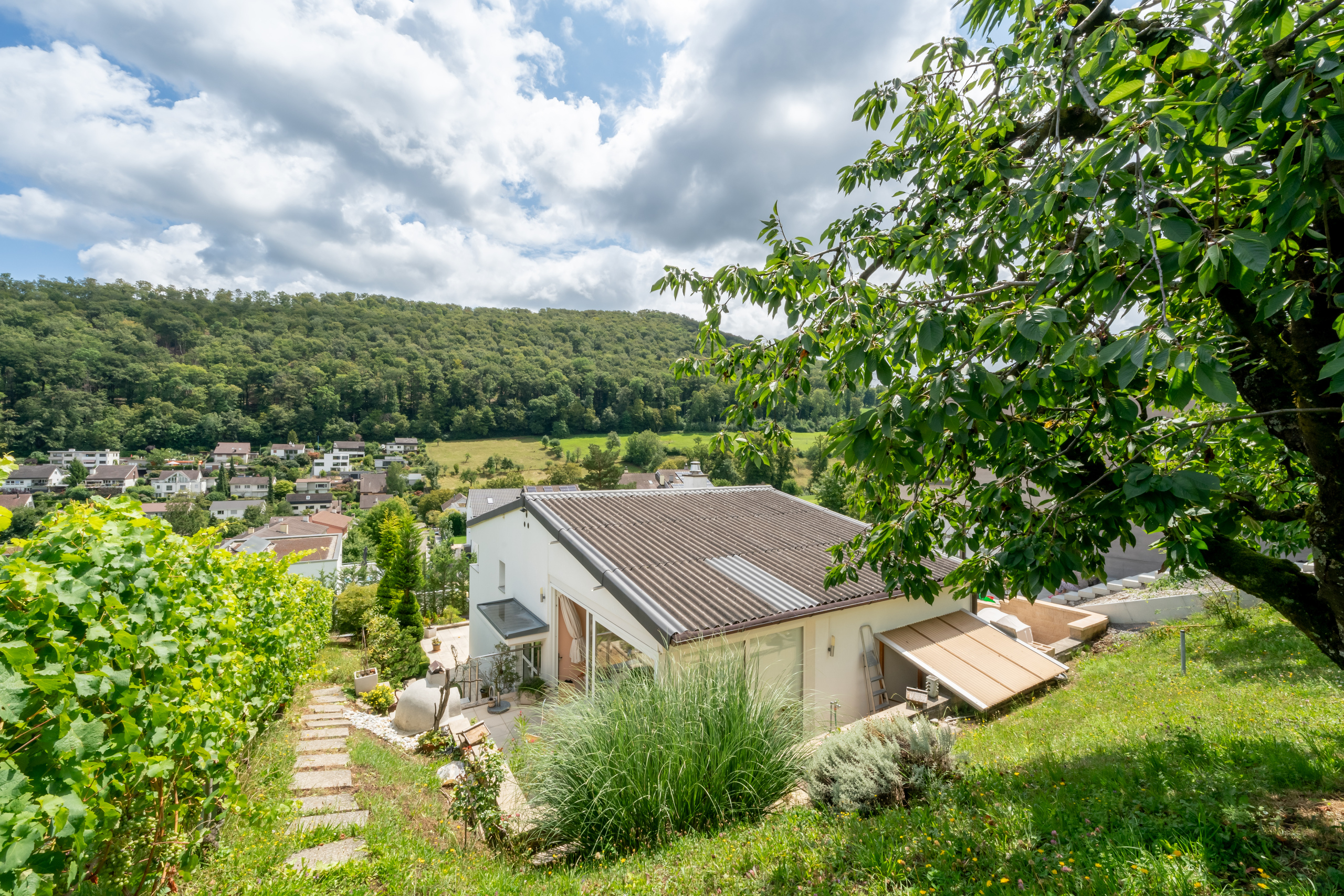 Aussicht / Garten