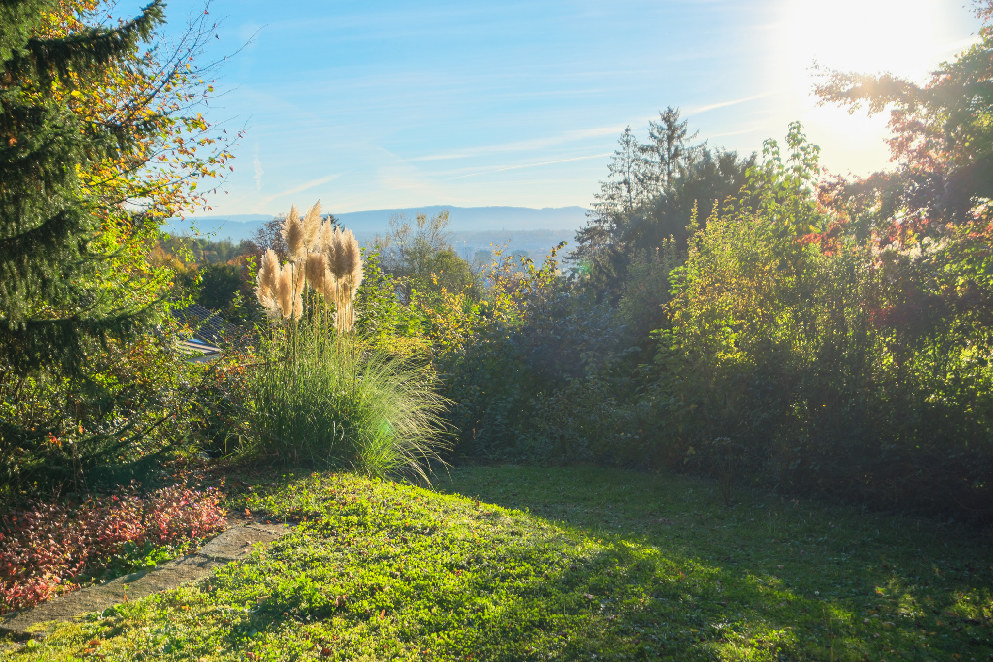 Aussicht Garten 