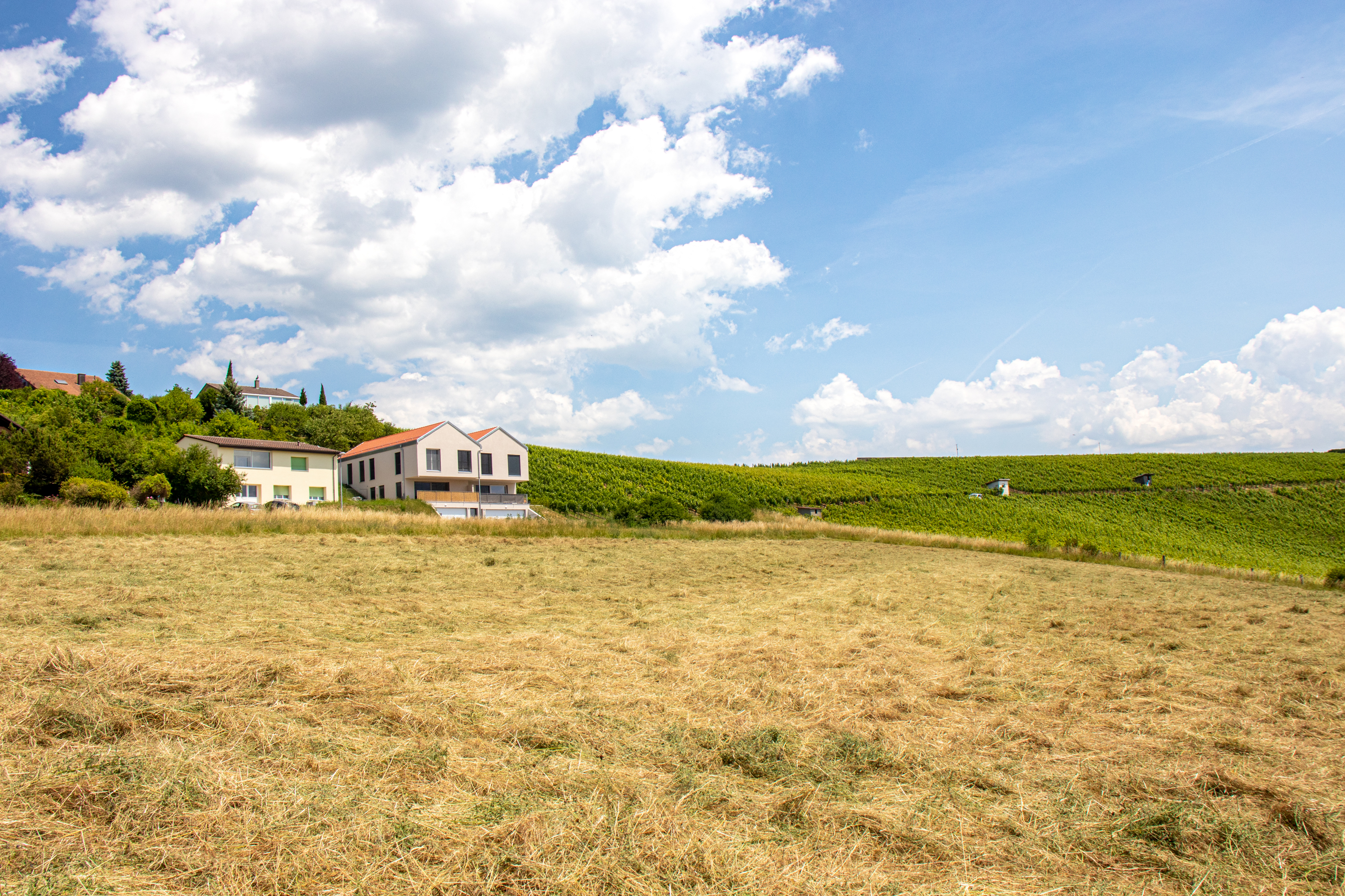 Projet immobilier à Valeyres-sous-Montagny avec deux maisons construites