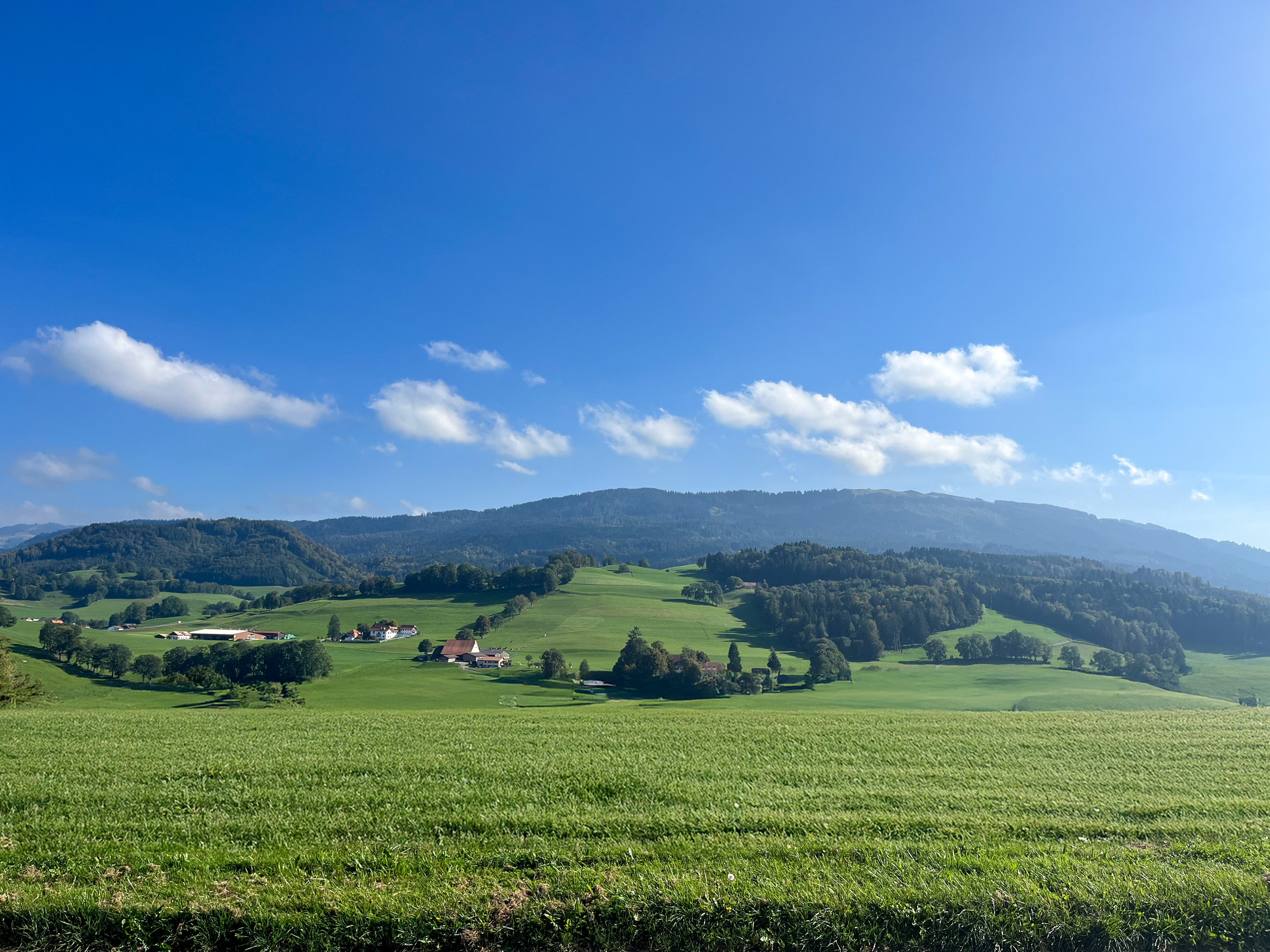 Projet immobilier à Essert le Mouret avec villas à vendre : la vue depuis le salon.