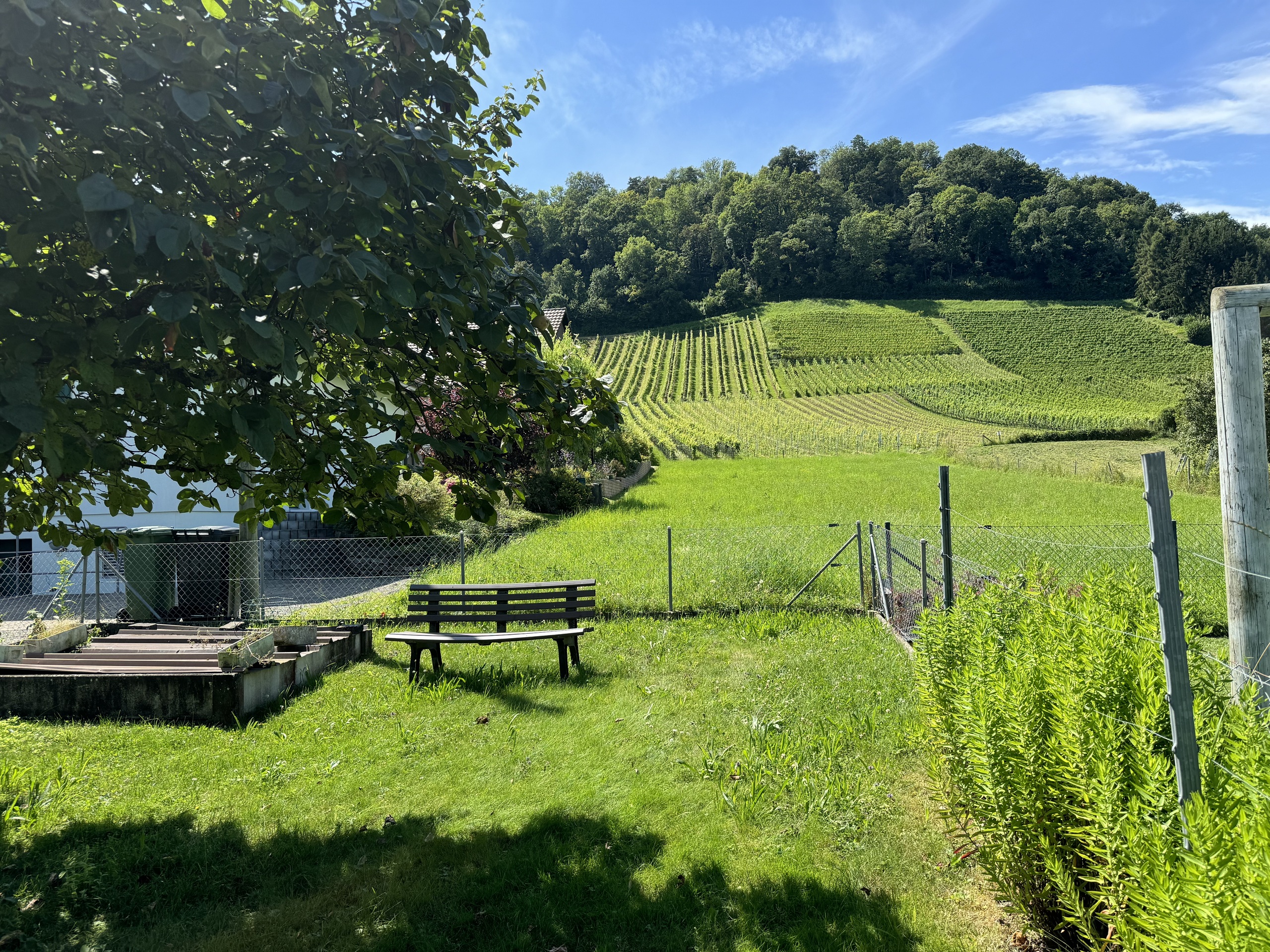 Vue du jardin