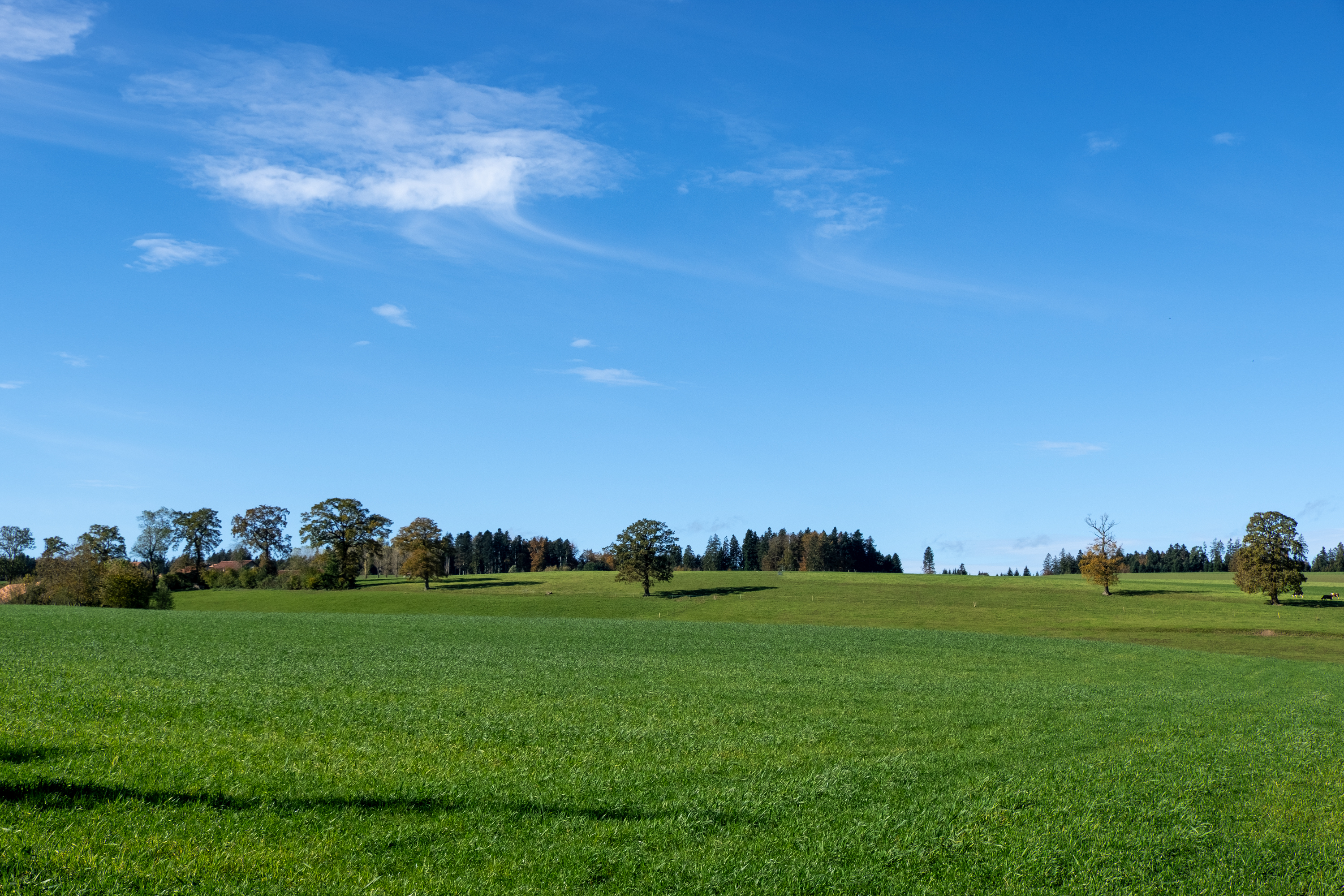 Projet immobilier à Siviriez avec appartement à vendre : la vue depuis le village.