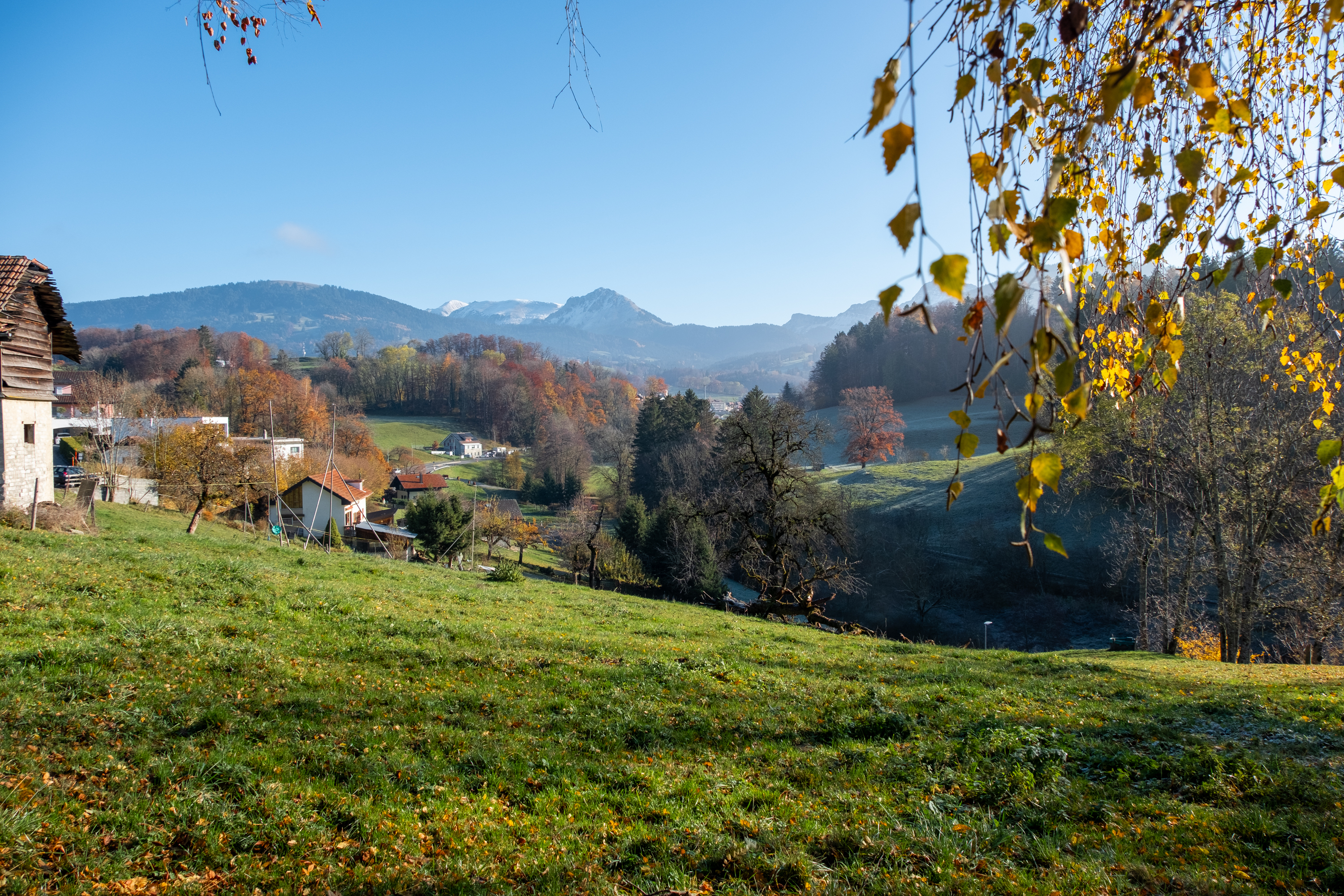 Appartements et villas neufs à vendre à Remaufens : le terrain pour la construction.