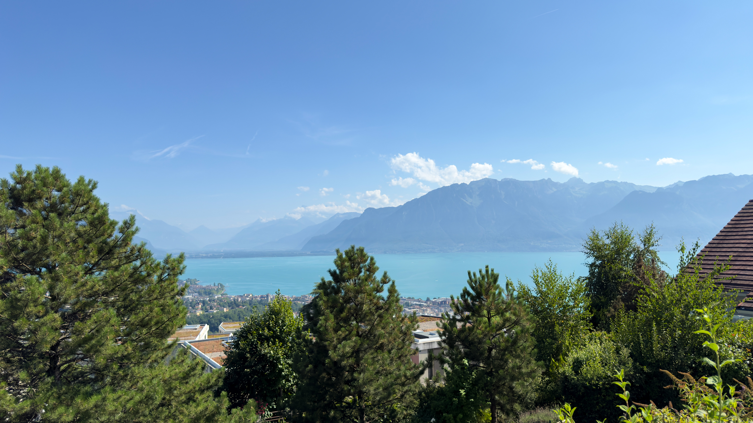 Projet immobilier sur la Riviera avec appartements à vendre : la vue sur le lac et les montagnes depuis Jongny