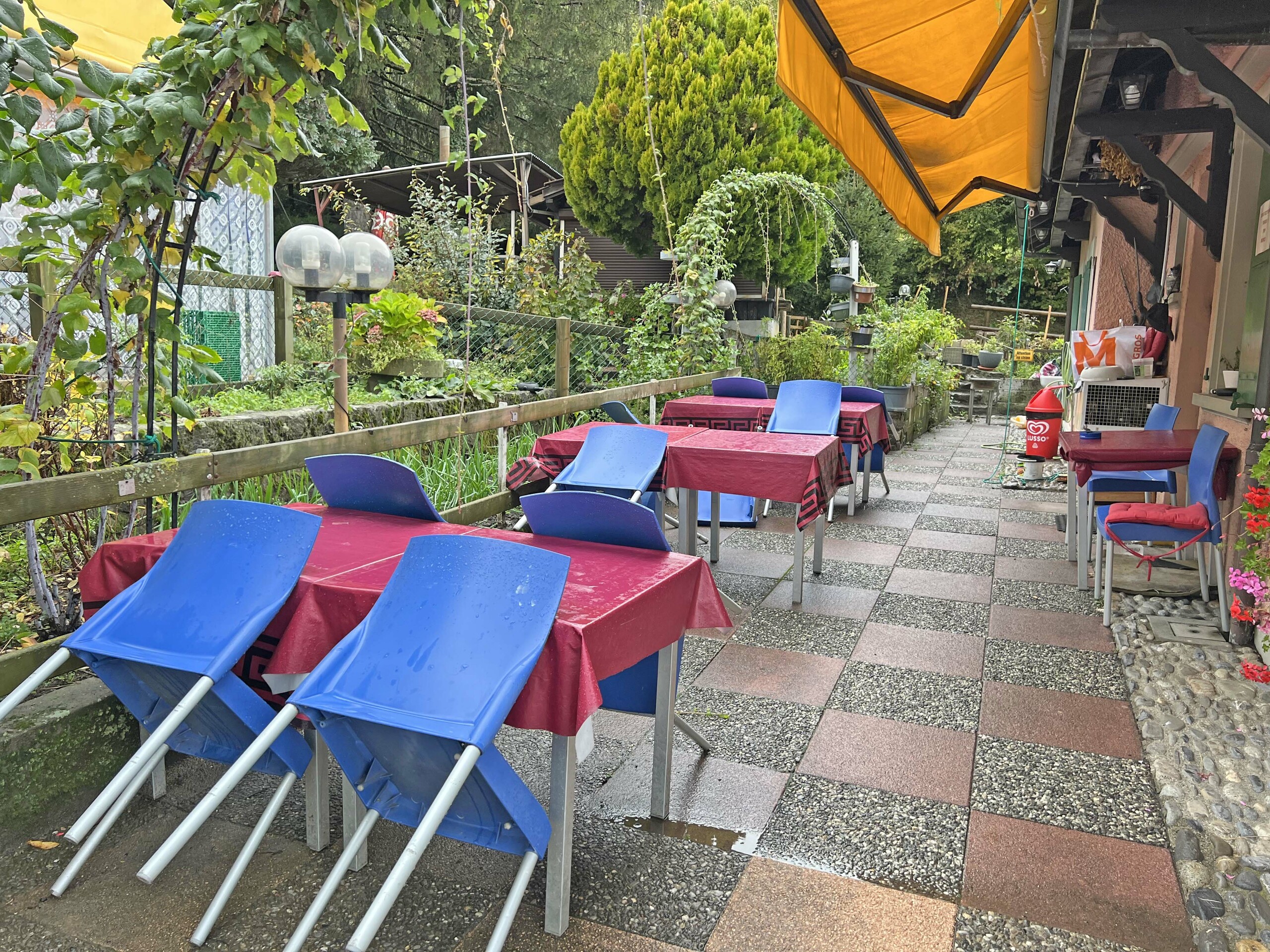 Terrasse et jardin