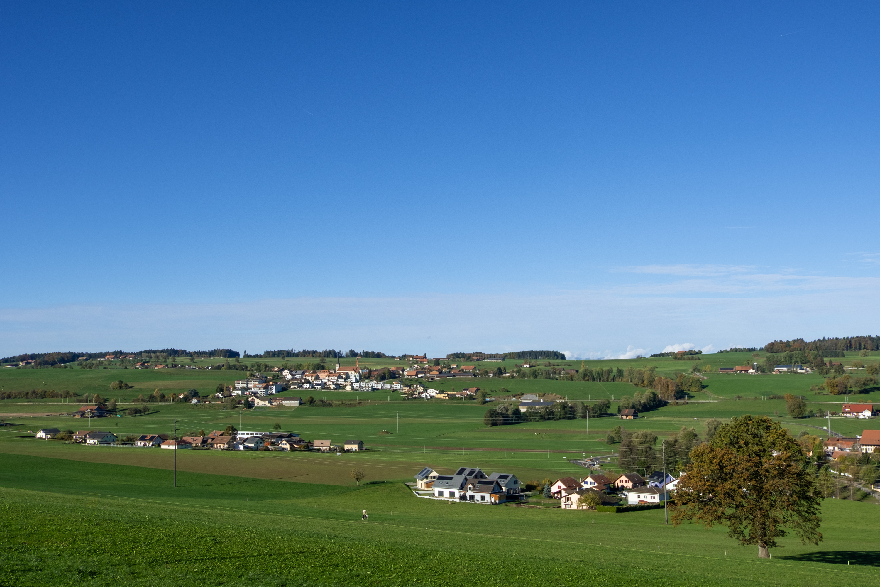 Le village de Siviriez où nous construisons une vingtaine d'appartements à vendre, vu depuis la campagne.