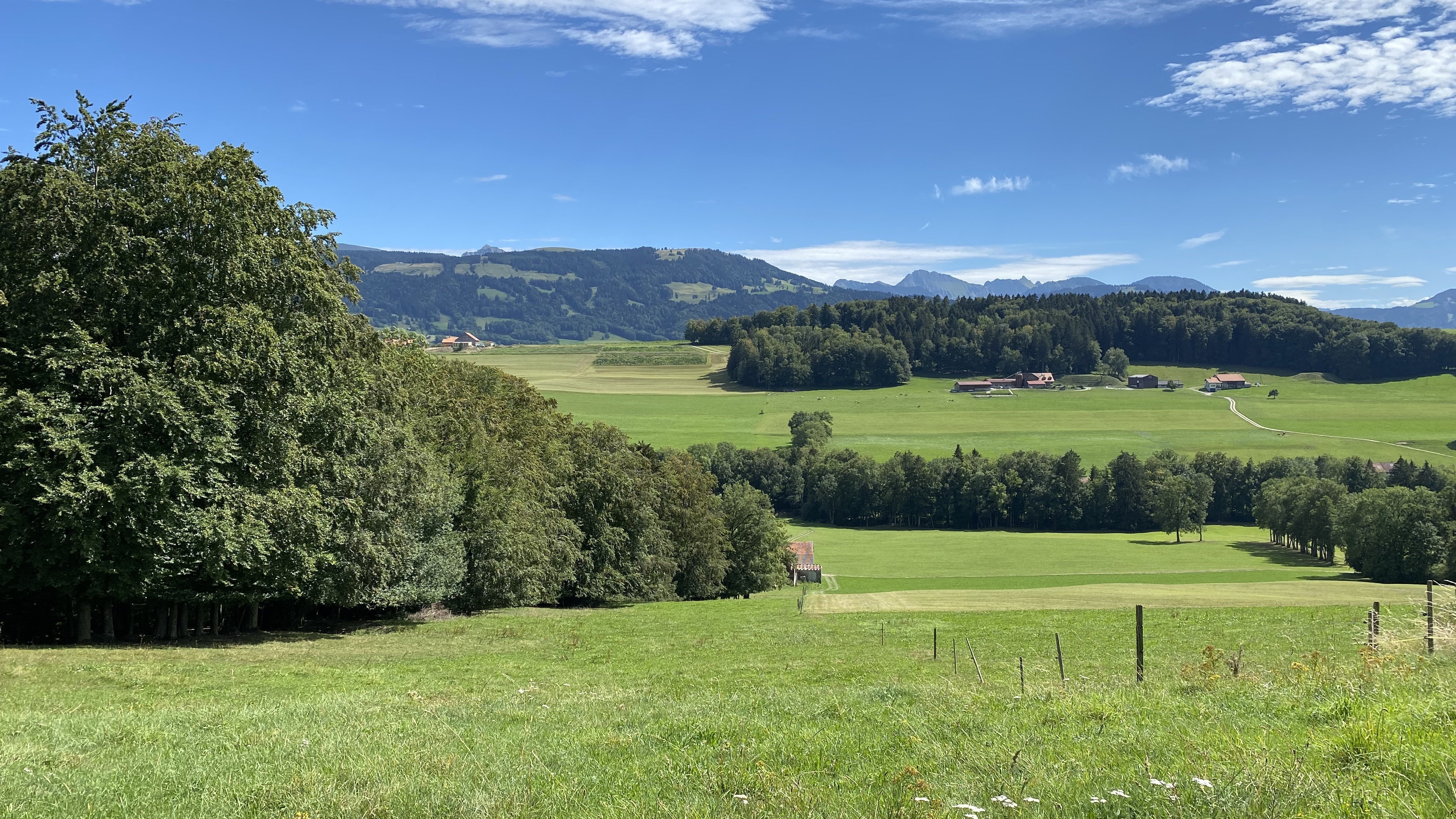 Deux villas jumelles construites aux Fiaugères : la vue sur la campagne et les montagnes depuis la terrasse.