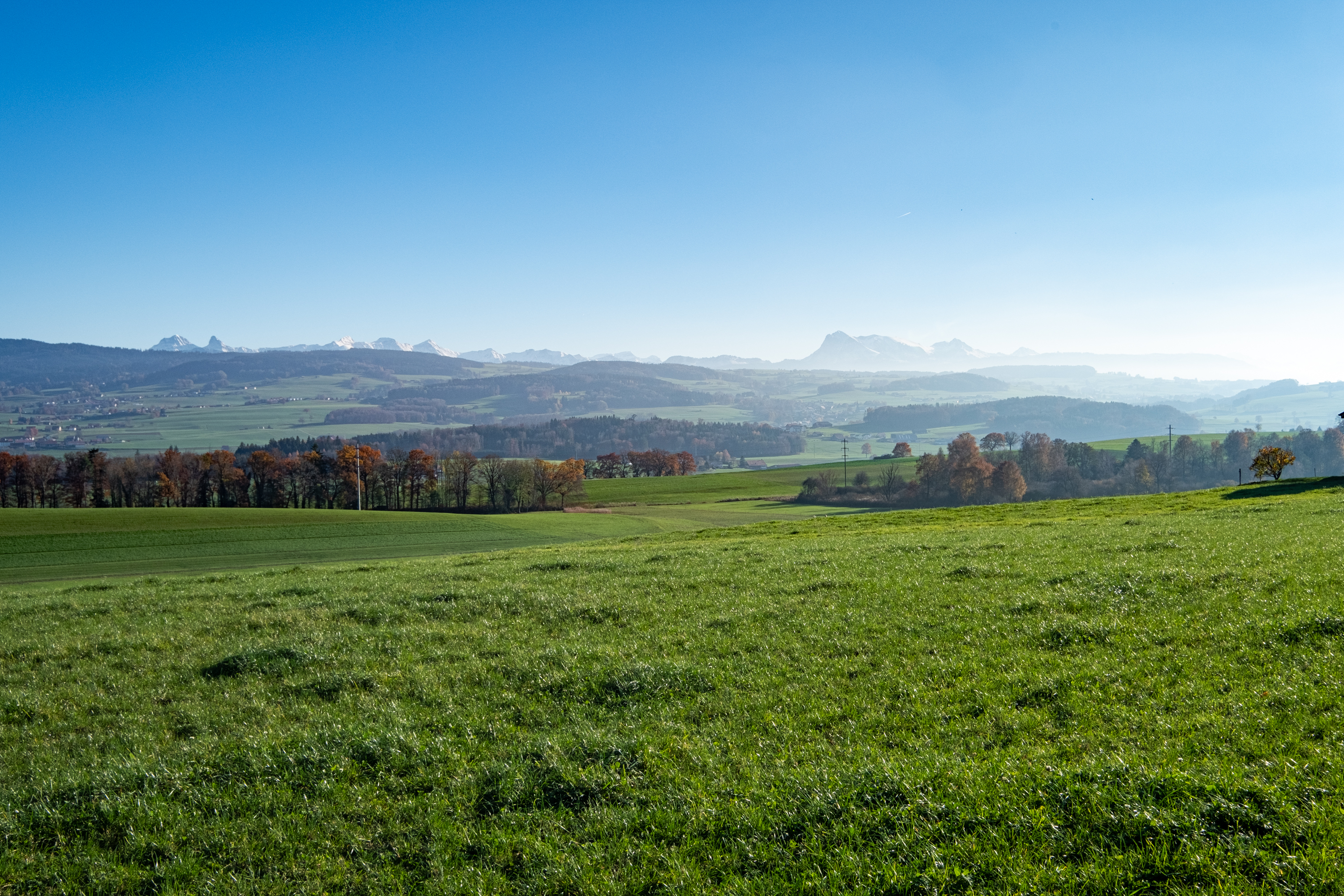 Projet immobilier à Villarimboud avec maisons et Domespace à vendre : la région.