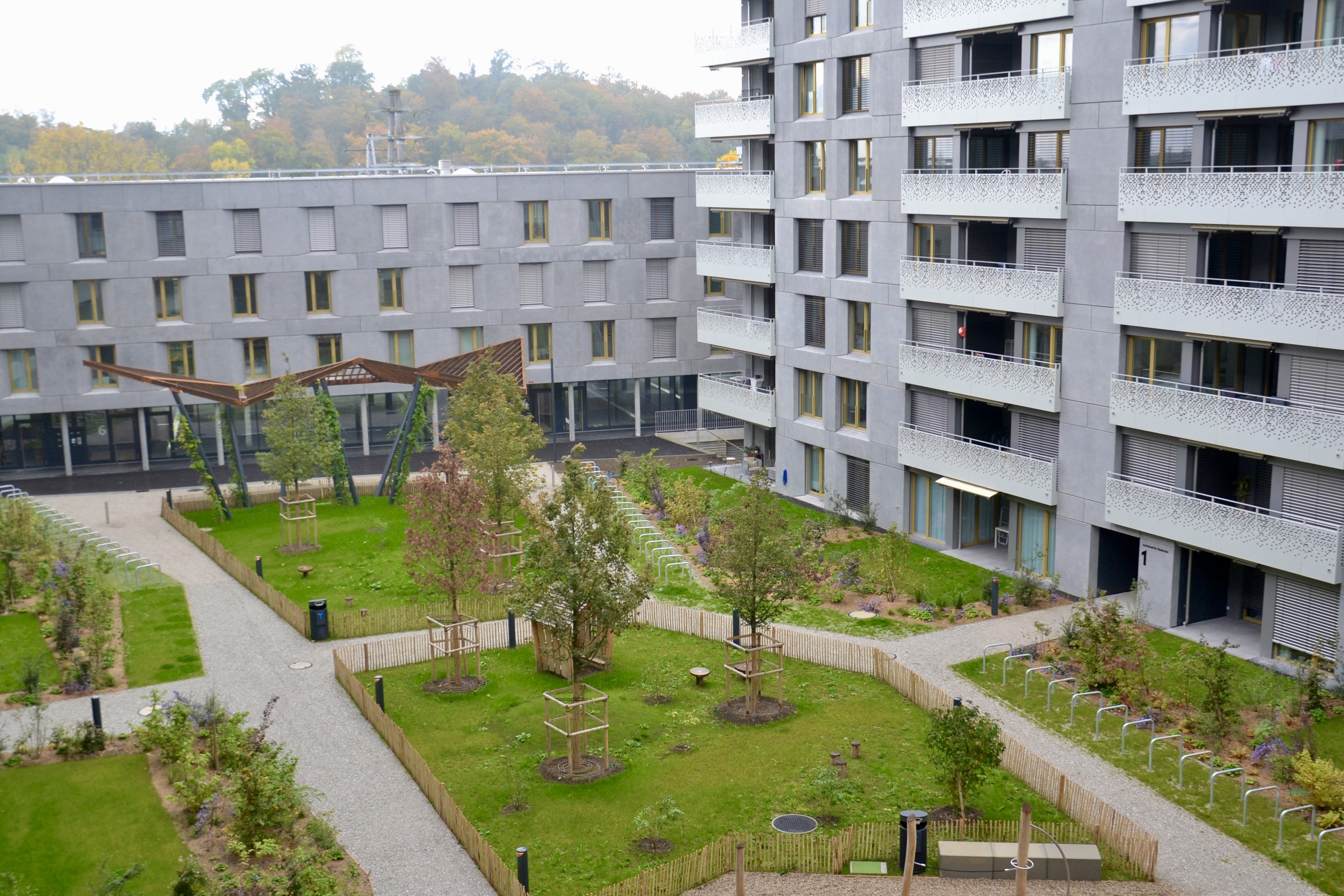 une cour avec de l'herbe verte et des arbres devant un grand bâtiment