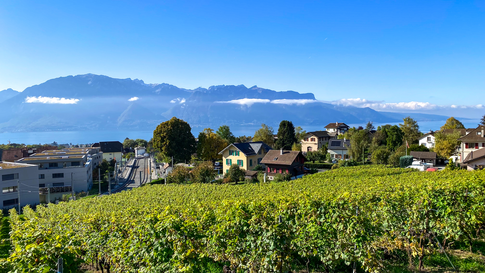 Projet immobilier à St-Légier avec appartement à vendre, la région