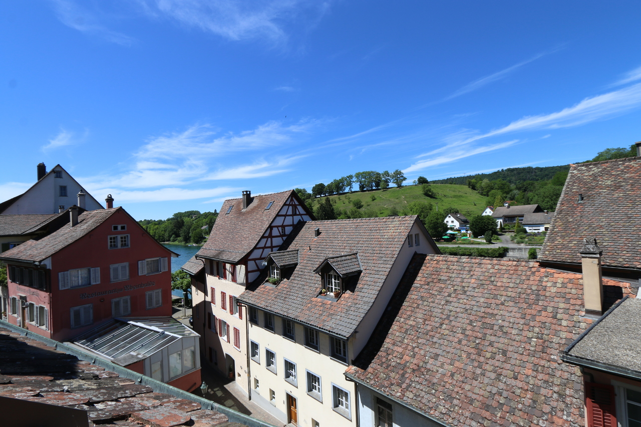 herrlicher Ausblick über die Dächer der Alststadt, ins Grüne und den Rhein