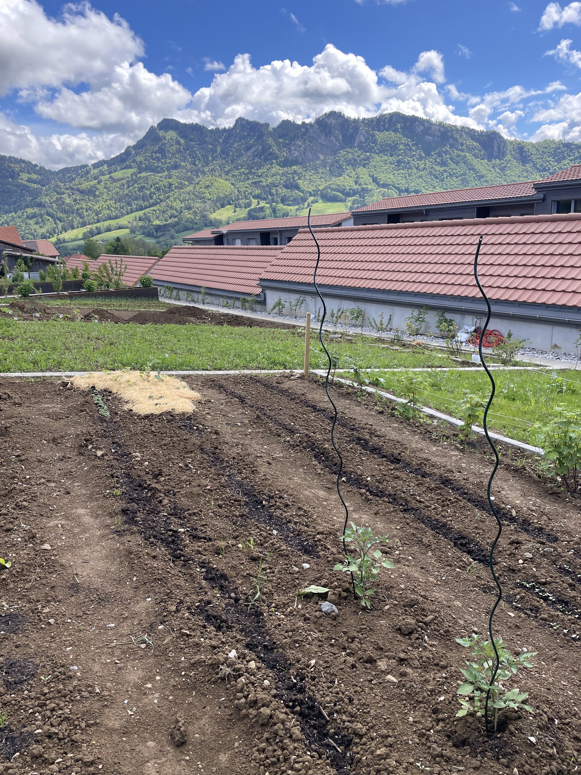 Jardins potager privés